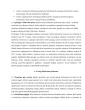 Civilinės saugos priemonės įmonėje: siuvykla UAB "Omniteksas" 4 puslapis