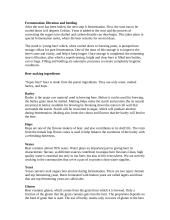 Company report: "Super beer" brewery 8 puslapis