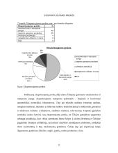 Čekijos Respublikos ekonominė apžvalga 11 puslapis