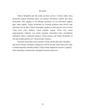 Čekijos Respublikos ekonominė apžvalga 16 puslapis