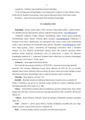 Pagrindinė turistinė informacija apie Daniją 5 puslapis