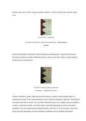 Dantų implantacija. Veiksniai, įtakojantys implantų biointegraciją 4 puslapis