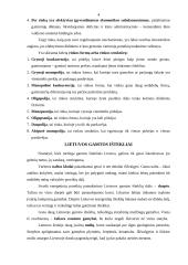 Darbo rinka ir konkurencija 4 puslapis