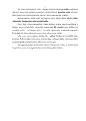 Darbo rinka ir konkurencija 5 puslapis