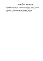 Darbo rinka ir konkurencija 6 puslapis