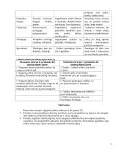 Darbas komandoje 5 puslapis