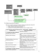 Darbas komandoje 6 puslapis