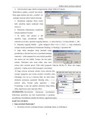 Darbas su didelėmis tekstinėmis bylomis 9 puslapis