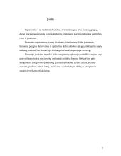 Darbo aplinkos projektavimas: sekretorės kabinetas 2 puslapis