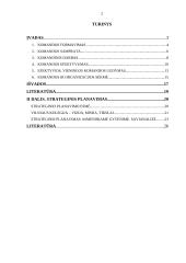 Darbo komandose efektyvumo didinimas 2 puslapis