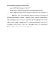 Darbo komandose efektyvumo didinimas 12 puslapis