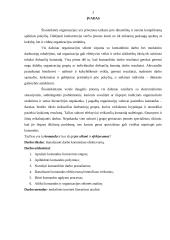 Darbo komandose efektyvumo didinimas 3 puslapis
