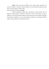 Darbo komandose efektyvumo didinimas 5 puslapis