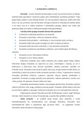 Darbo komandose efektyvumo didinimas 6 puslapis
