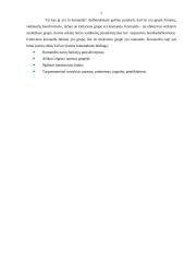 Darbo komandose efektyvumo didinimas 7 puslapis