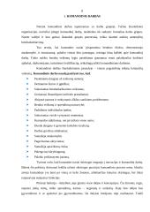 Darbo komandose efektyvumo didinimas 8 puslapis