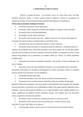 Darbo komandose efektyvumo didinimas 10 puslapis