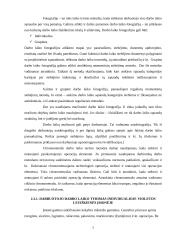 Darbo organizacijos tyrimas mezgimo įmonėje 6 puslapis