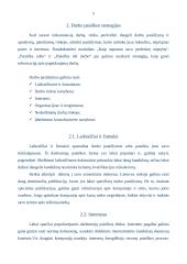 Darbo paieškos strategijos 3 puslapis