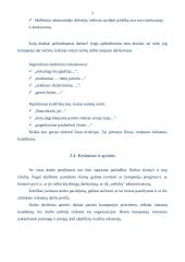 Darbo paieškos strategijos 5 puslapis