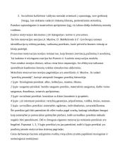 Darbo skatinimo priemonių įvairovė 2 puslapis