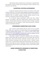 Darbo užmokestis ir su juo susijusių mokesčių apskaita 5 puslapis