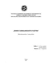 Darni subalansuota plėtra