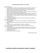 Darni subalansuota plėtra 4 puslapis