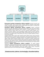 Darni subalansuota plėtra 5 puslapis