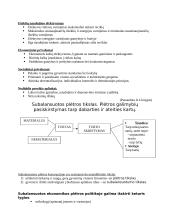 Darni subalansuota plėtra 6 puslapis