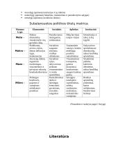 Darni subalansuota plėtra 7 puslapis