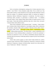 Dažniausios žodyno klaidos verslininkų viešojoje kalboje 3 puslapis