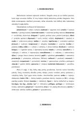 Dažniausios žodyno klaidos verslininkų viešojoje kalboje 4 puslapis