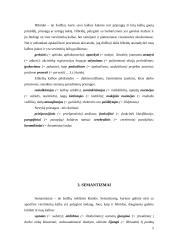 Dažniausios žodyno klaidos verslininkų viešojoje kalboje 5 puslapis