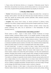 Derybų su tiekėjais ir paskirstytojais bei kreditoriais technologija 10 puslapis