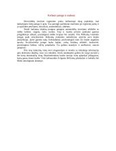 Dieveniškės 4 puslapis