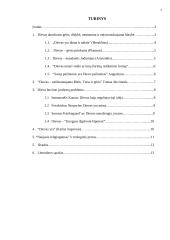 Dievo idėja ir problema 2 puslapis