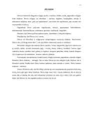 Dievo idėja ir problema 12 puslapis