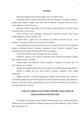 Dievo idėja ir problema 3 puslapis