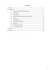 Dokumentų valdymas - savarankiškas darbas 2 puslapis