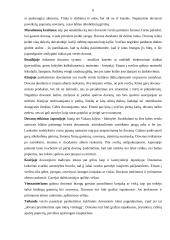 Dovanos verslo vadyboje 5 puslapis