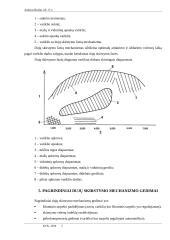 Dujų skirstymo mechanizmas: Automobilis Honda Civic 1999 metų 5 puslapis
