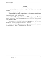 Dujų skirstymo mechanizmas: Automobilis Honda Civic 1999 metų 7 puslapis