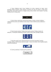 Eismo saugumas vairuojant 6 puslapis