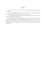 Ekonometrika: Norvegijos kronos kursas 20 puslapis