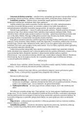  Mikro ir makroekonominės teorijos 11 puslapis