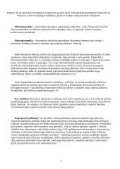  Mikro ir makroekonominės teorijos 3 puslapis