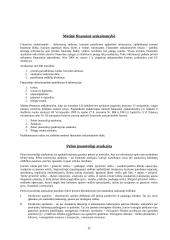 Įmonės ekonomikos tyrinėjimas 11 puslapis