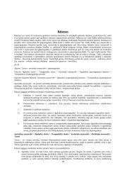 Įmonės ekonomikos tyrinėjimas 14 puslapis