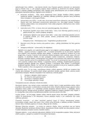 Įmonės ekonomikos tyrinėjimas 15 puslapis